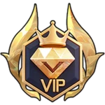 VIP Pass